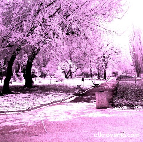 Един зимен ден на фона на лилава светлина =)