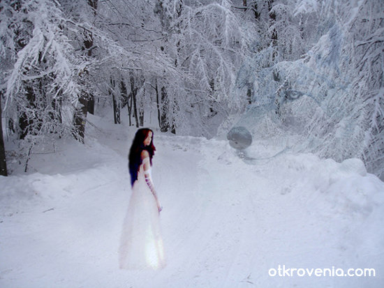 Snow Queen ... 