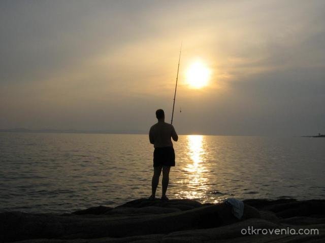Самотния Рибар