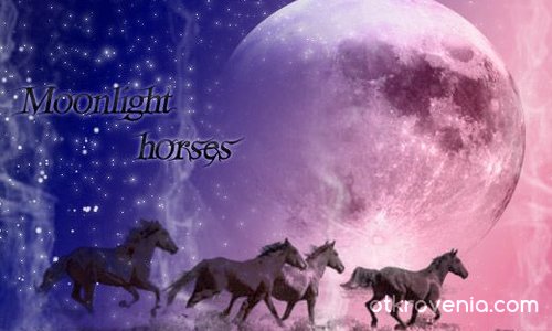 Moonlight horses