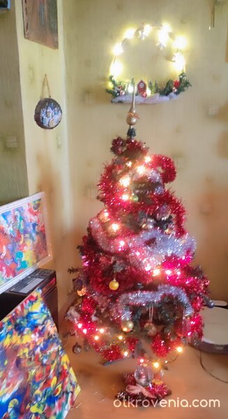 Кокетната ми уккаса