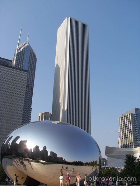 The Bean / The Kidney