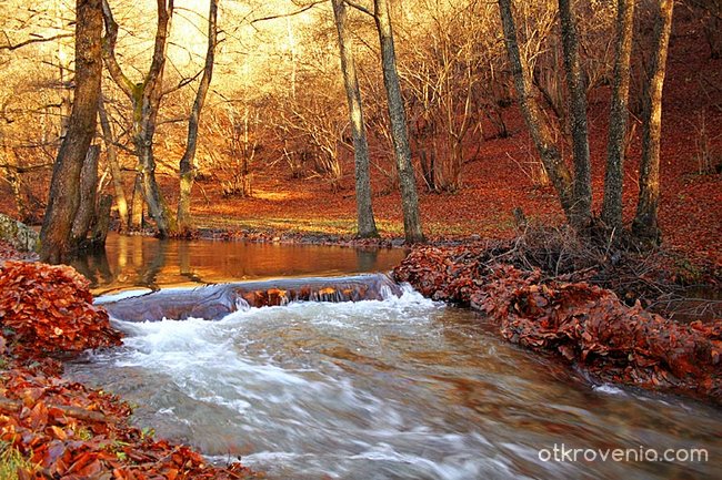 Есенни води