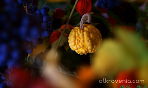 Плодовете на есента