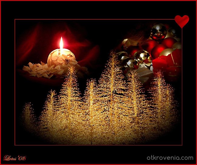 Коледен фестивал - Нощта на пожеланията - II място