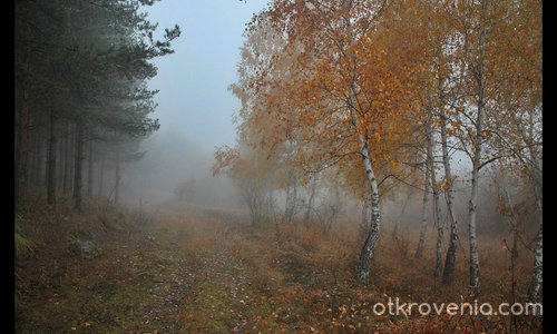 Мъглива есен