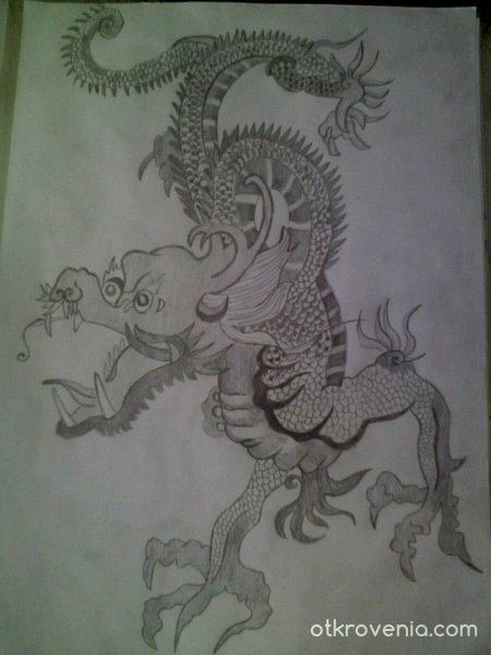 Japanese Dragon