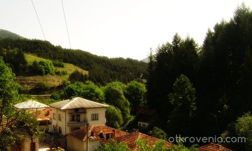 Българското село