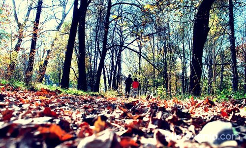 Есенна разходка