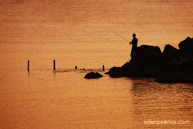 Риболов в златния час