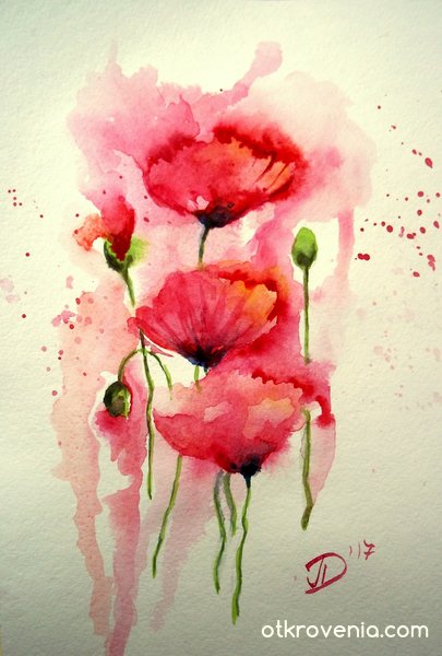 Poppies for ever...