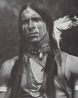 chieftain (Сивия вълк)