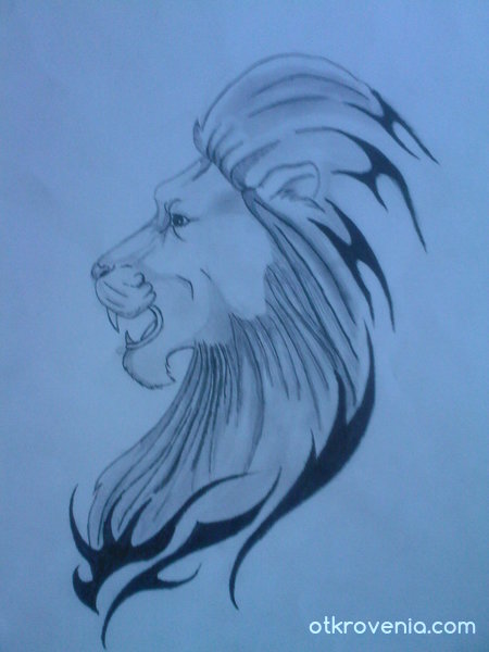 Tribal Lion