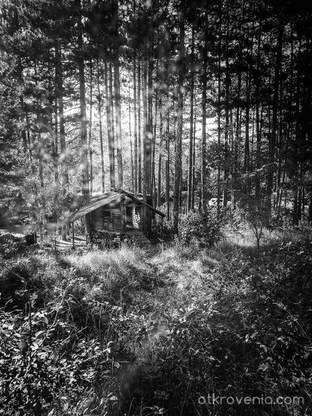 Приказна къща в гората
