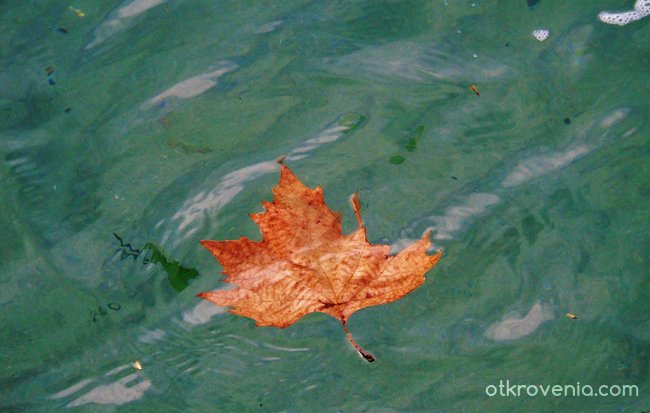 Есен в морето