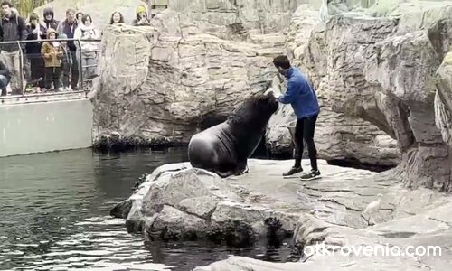 Las Fallas Valencia Mix 2025