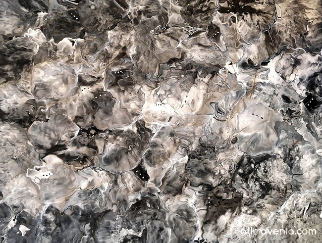 Шифърът на мълчаливите облаци