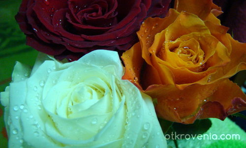 розички за St.Valentine