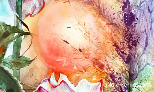 Рози и луна