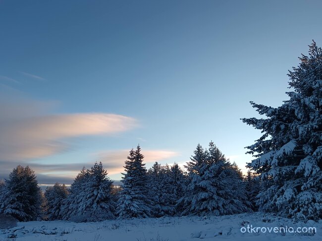 Зимна рапсодия