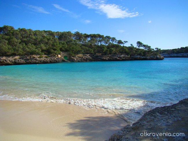 PALMA beach