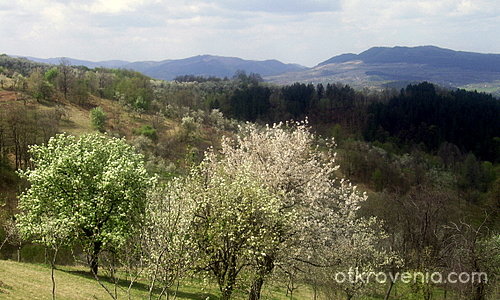 Пролет в балкана