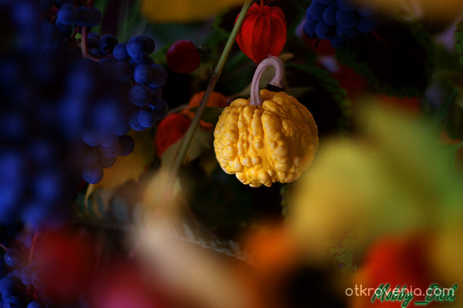 Плодовете на есента