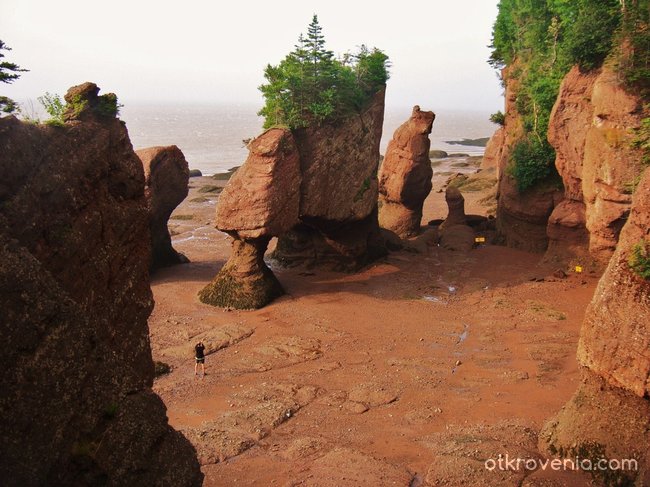 Hopewell Rocks по време на отлив