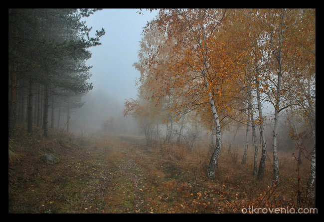 Мъглива есен