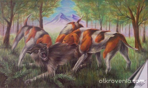 "Лов на Вълци"
