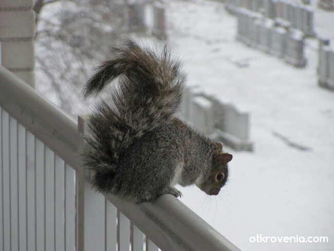 Екзистенциална граница