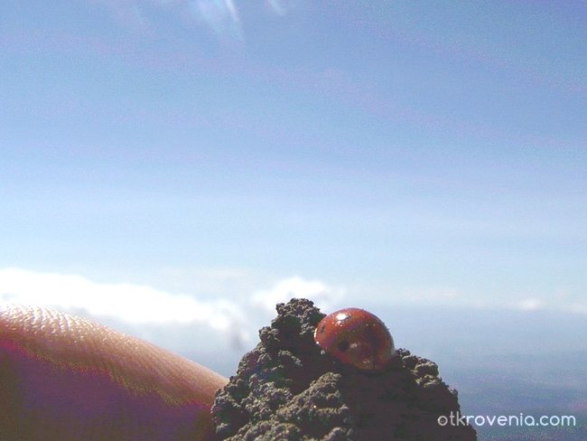 Живот в подножието на действащия вулкан Етна (2) !
