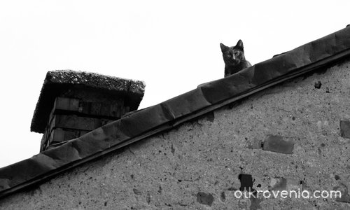 Диагонал, котка,комин/наблюдателят/