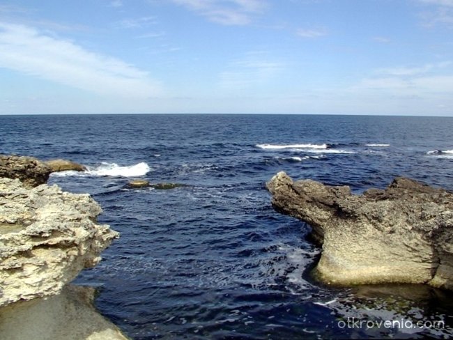 Морски спомен за синьто Черно море и "чудовищата" изплували от дълбините на морето! 