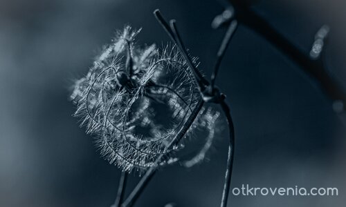 Намигване към сезоните