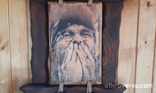 Снимка върху дърво (Юрген Клоп)