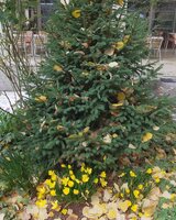 МарияДимитрова.67 (Мария Димитрова)