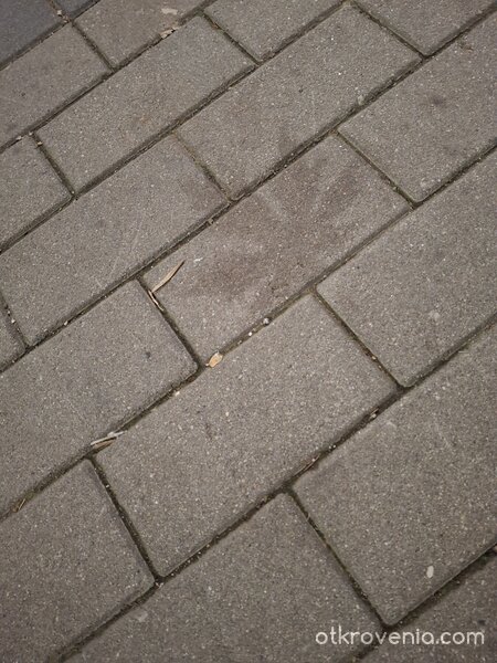 Печатът на есента