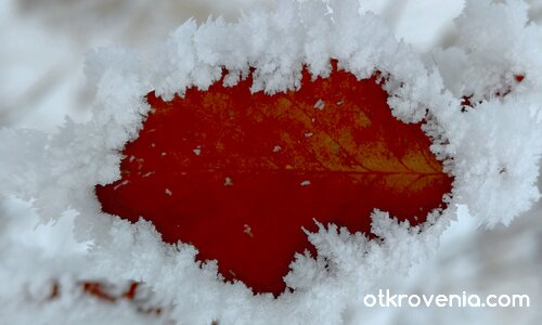 В капана на зимата