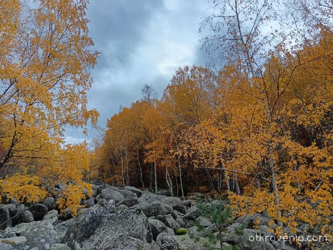 "Юрушки Мостове", Витоша