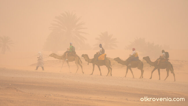 Сахарски вятър
