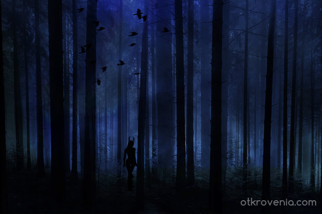По тъмна доба дълбоко в горите