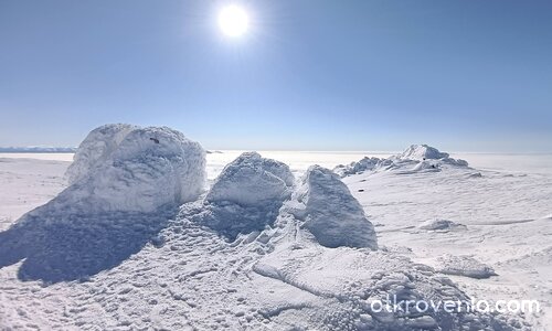 Черния в светлина