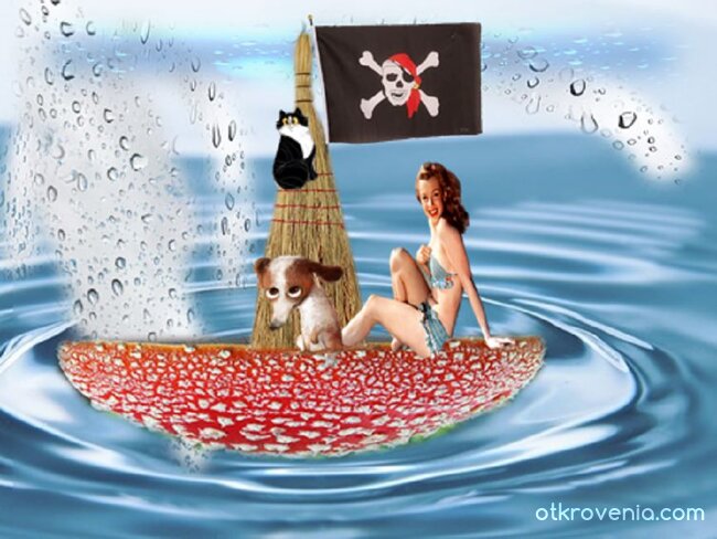 Гледната точка на семейния мъж