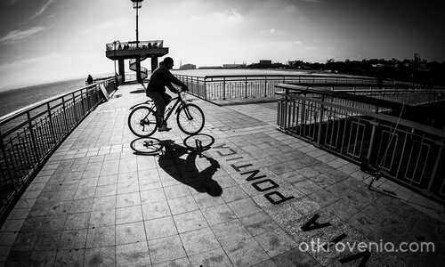 Via Pontica (Черноморски път)