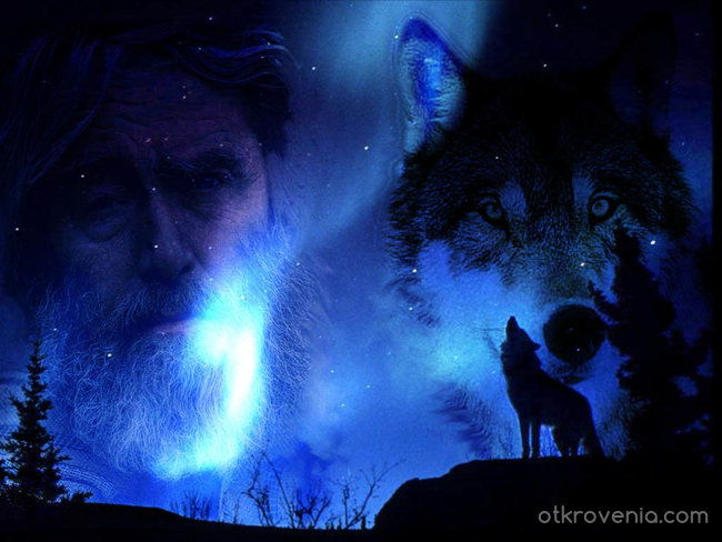 Wolf ( story motive )