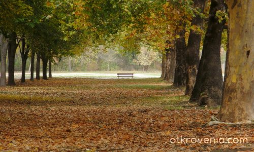 Есен в парка