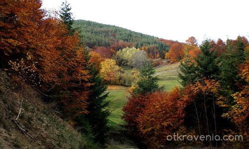 Re:	Цветовете на есента