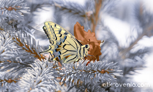 Пристъпя плахо есента