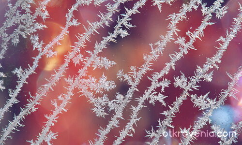 Като всички мои пътища